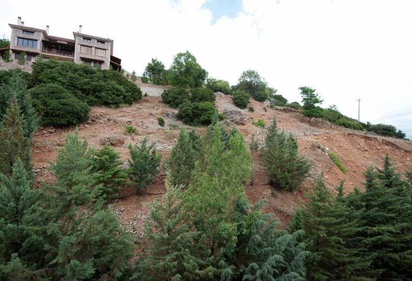 Номер Стандарт Трехместный, Domotel Anemolia Mountain Resort