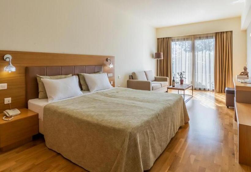 Представительский трехместный номер с видом, Domotel Anemolia Mountain Resort
