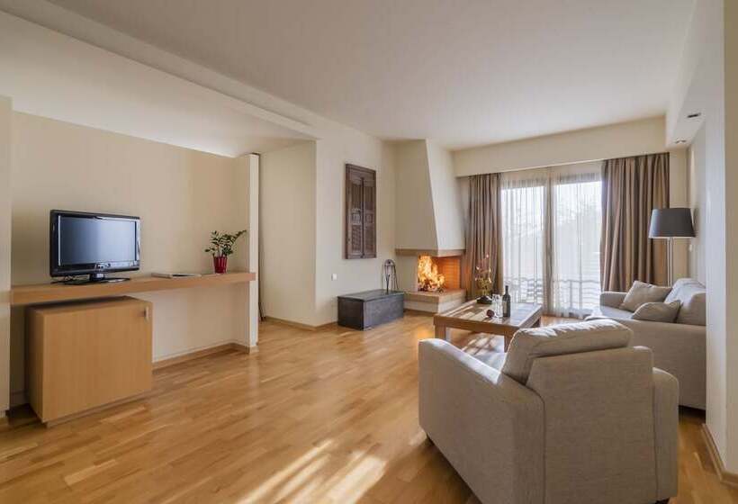 Президентский Люкс, Domotel Anemolia Mountain Resort