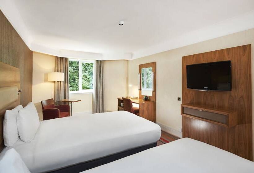 اتاق لوکس, Orida Hotels Newbury
