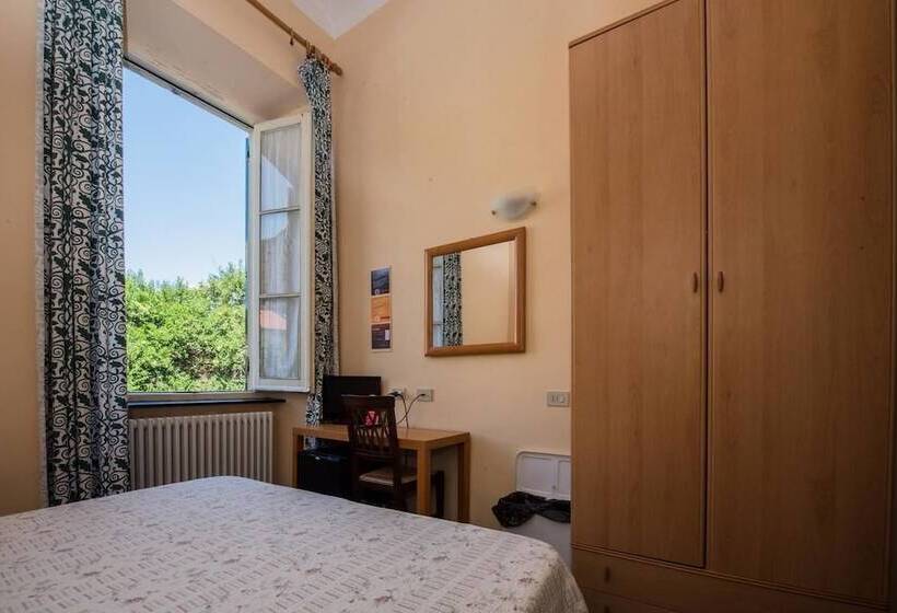 Номер Стандарт, Florenz