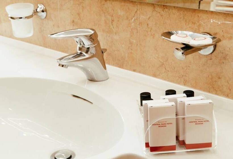 스탠다드 룸, Central Park Hotel Modena