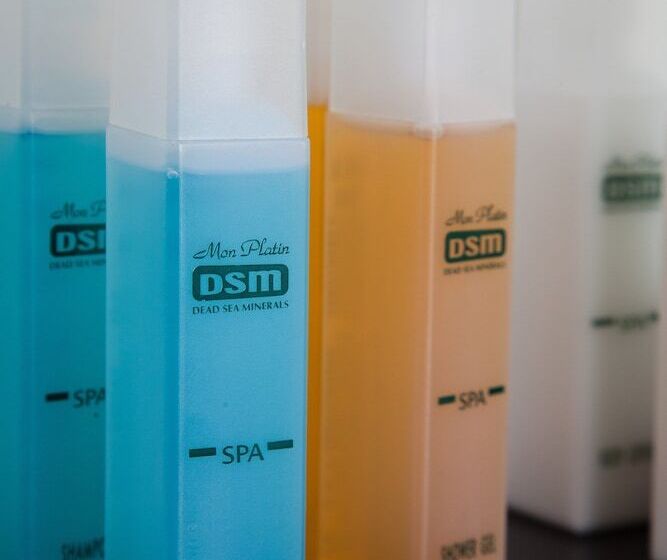 シティビューのデラックスルーム, Leonardo Plaza Hotel Jerusalem