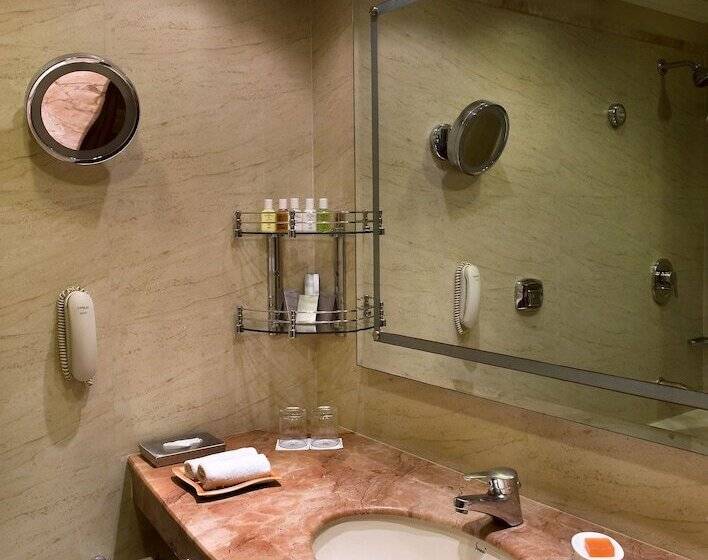 Suite Deluxe, The Suryaa  New Delhi