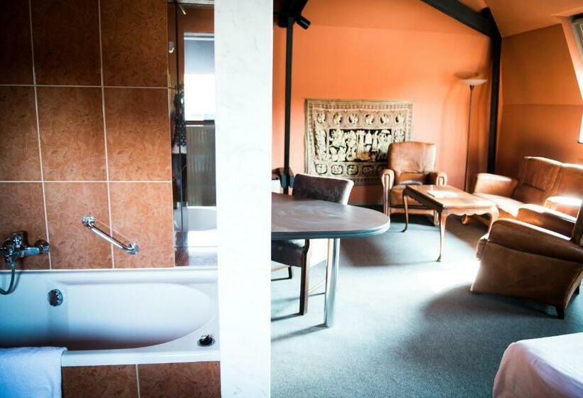 Полулюкс, Hampshire Hotel – Voncken Valkenburg