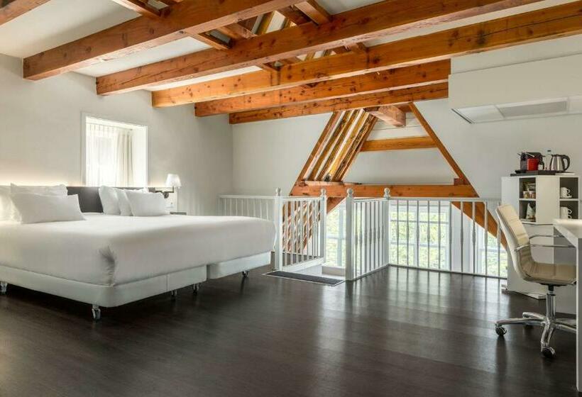 小型套房, NH Collection Amsterdam Barbizon Palace