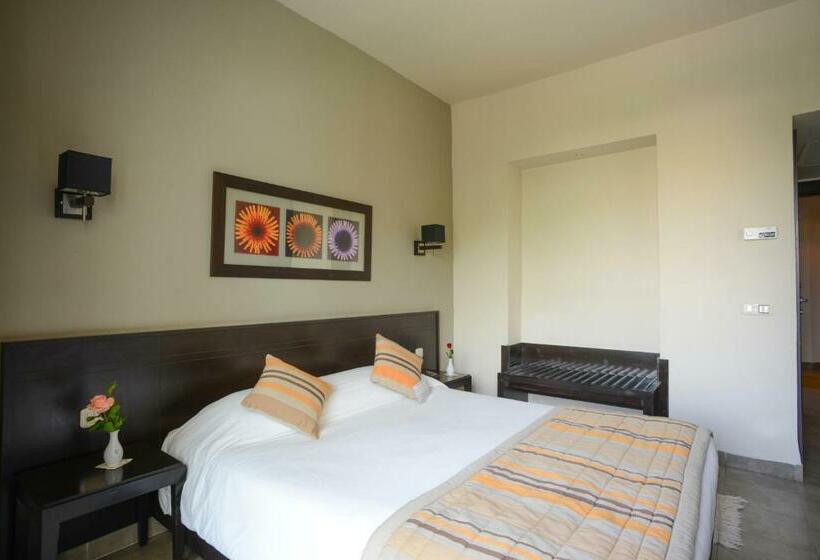 标准单人间, Nozha Beach Resort & Spa