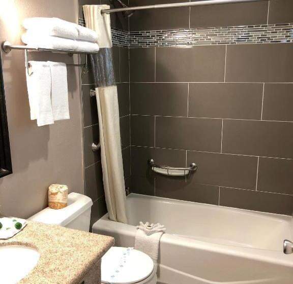带大床的标准间, Alamo Inn And Suites  Convention Center