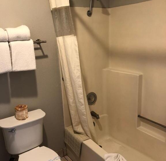 Standard Værelse King Size Seng, Alamo Inn And Suites  Convention Center