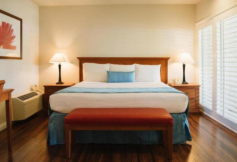 带大床的标准间, Alamo Inn And Suites  Convention Center