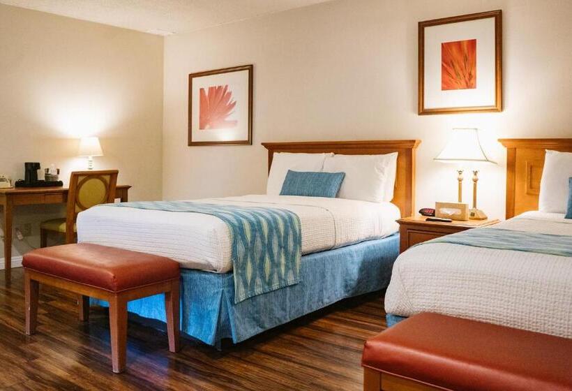 Standard Værelse 2 Dobbeltsenge, Alamo Inn And Suites  Convention Center