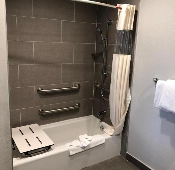 Standard Værelse King-seng Tilpasset til Handicappede, Alamo Inn And Suites  Convention Center