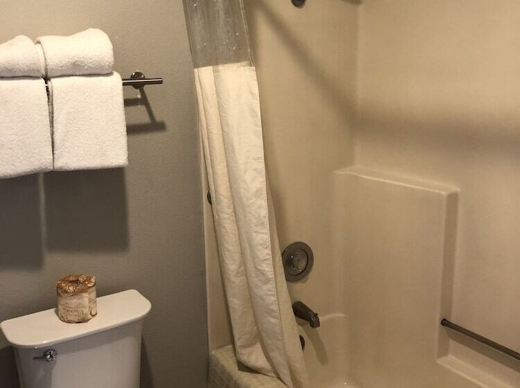 Familiesuite, Alamo Inn And Suites  Convention Center