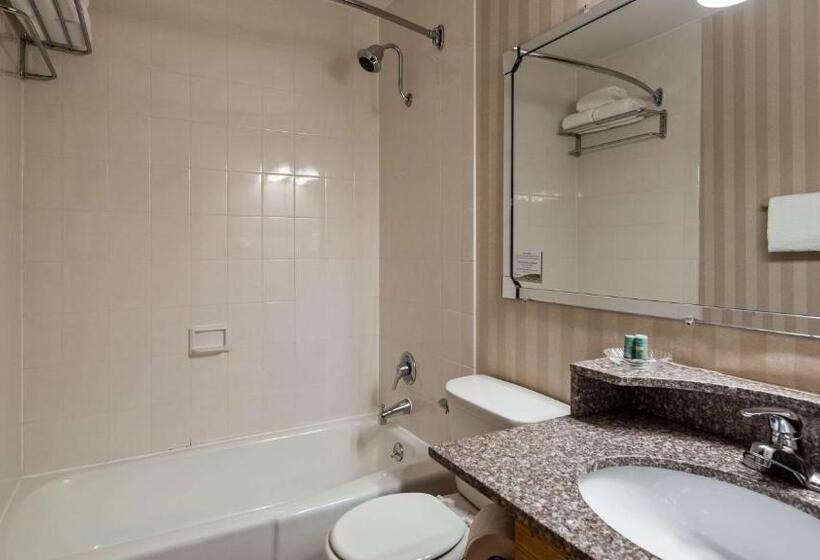 Номер Стандарт, Best Western Adirondack Inn