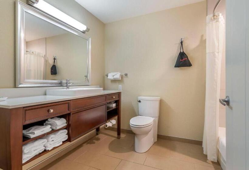 스탠다드 룸 킹사이즈 침대, Best Western On The River
