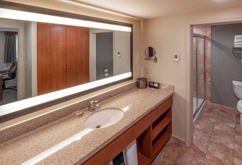 带2个双人床的标准工作室, Best Western Plus Clocktower Inn