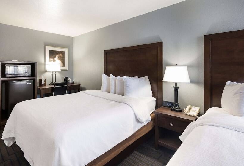 Люкс, Best Western Pocatello Inn