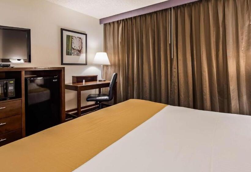 اتاق استاندارد با تخت بزرگ, Best Western Yacht Harbor
