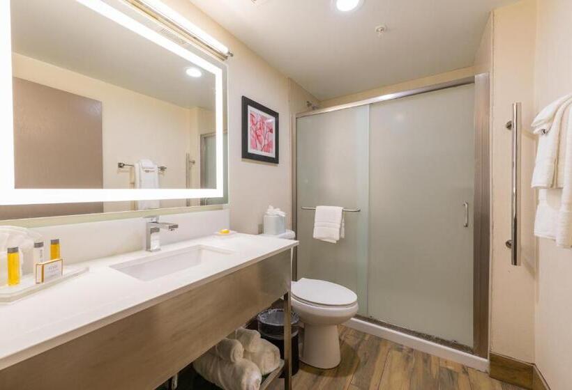 Стандартный Номер Кровать Кинг, Holiday Inn Brookfield   Milwaukee, An Ihg