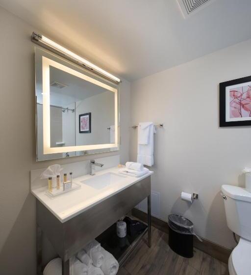 Люкс, Holiday Inn Brookfield   Milwaukee, An Ihg
