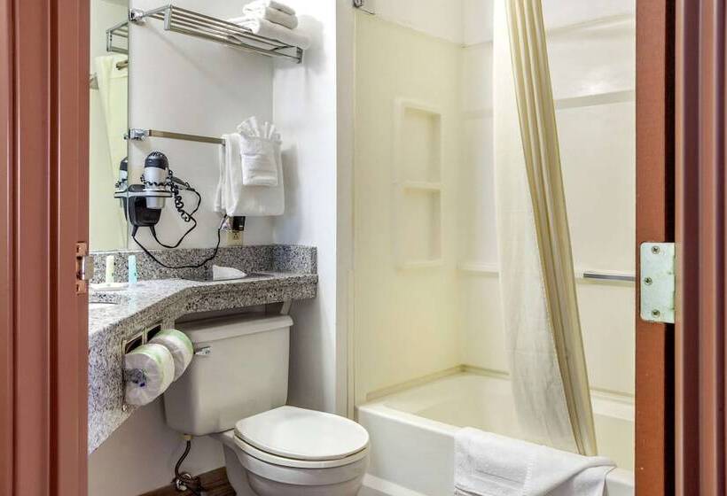 스탠다드 룸, Quality Inn & Suites
