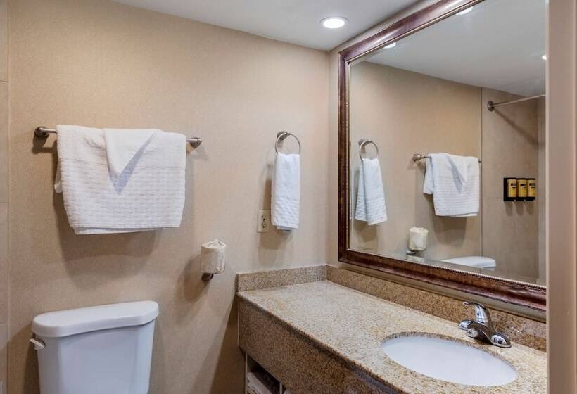 스위트, Best Western Plus Big America