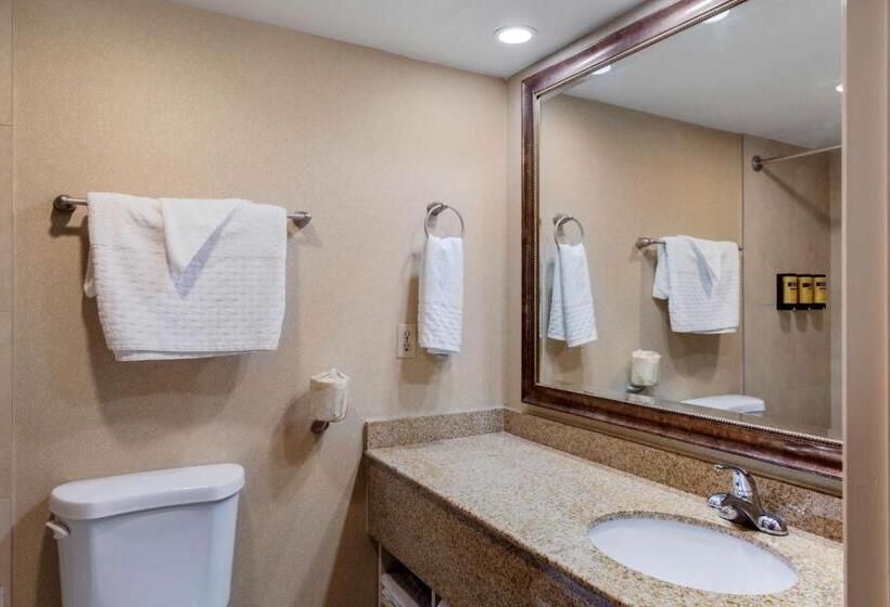 Mini Suite, Best Western Plus Big America