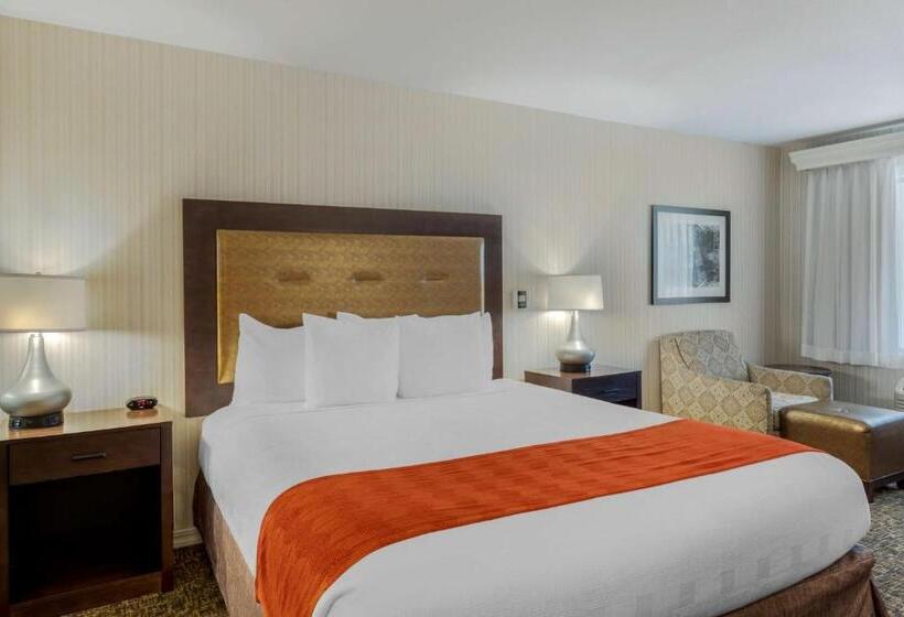 장애인을 위한 킹사이즈 침대 스탠다드 룸, Best Western Plus Big America