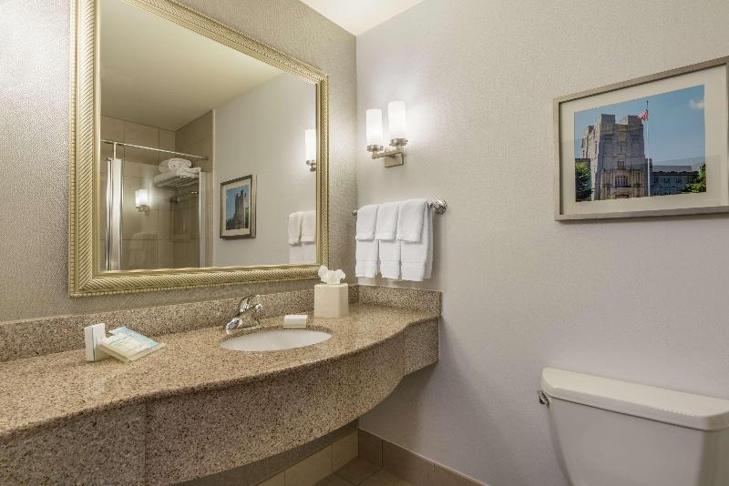 Стандартный Номер Кровать Кинг, Hilton Garden Inn Blacksburg University