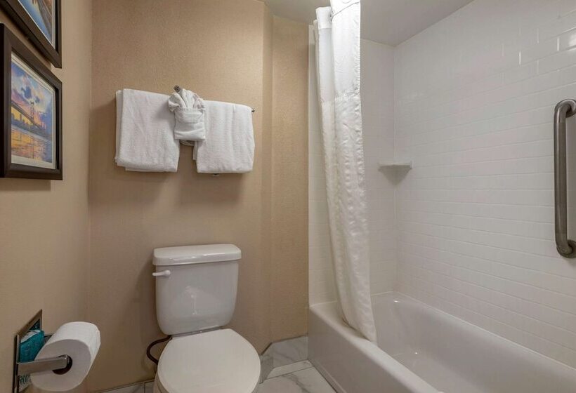 Номер Стандарт 2 Двуспальные Кровати, Comfort Inn Horsham  Philadelphia