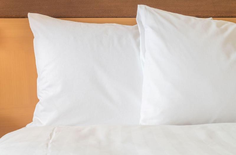 חדר סטנדרט, Holiday Inn Express Denver Downtown, An Ihg