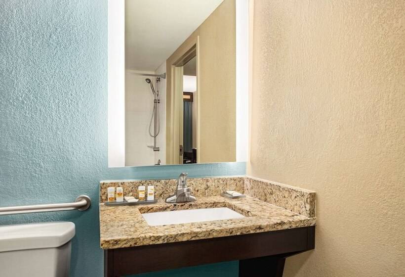 디럭스 룸, La Quinta Inn & Suites By Wyndham Richmondmidlothian