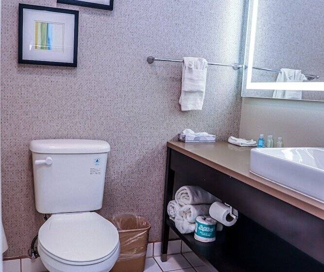 套房, Quality Inn & Suites Camarillooxnard