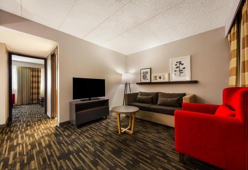 스위트 킹사이즈 침대, Country Inn & Suites By Radisson, Lincoln Airport, Ne