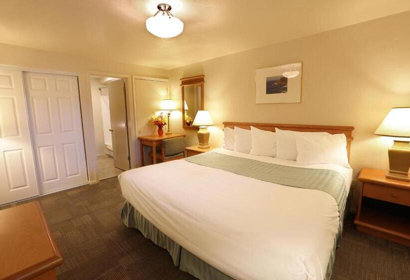 Люкс 3 Спальни, Driftwood Shores Resort