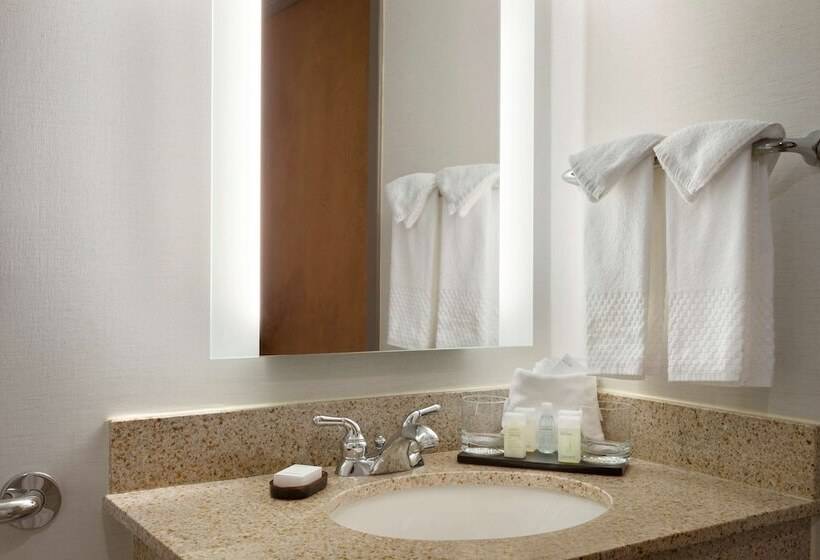 Люкс Адаптированный для Инвалидов, Embassy Suites By Hilton Columbus