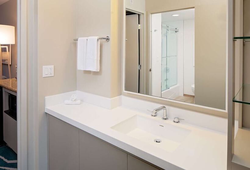 Városra Néző Suite, Embassy Suites By Hilton San Diego Bay Downtown