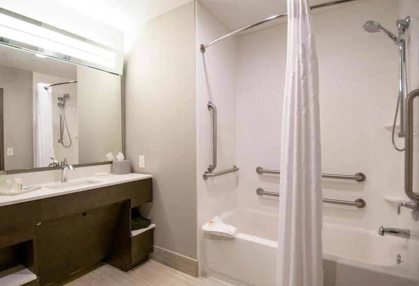 Standaardkamer Aangepast voor Gehandicapten, Holiday Inn   New Orleans Airport North, An Ihg