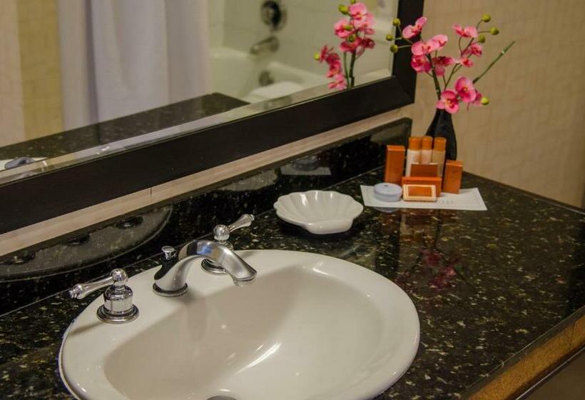 اتاق اجرایی با تخت بزرگ, Beacon Hotel & Corporate Quarters