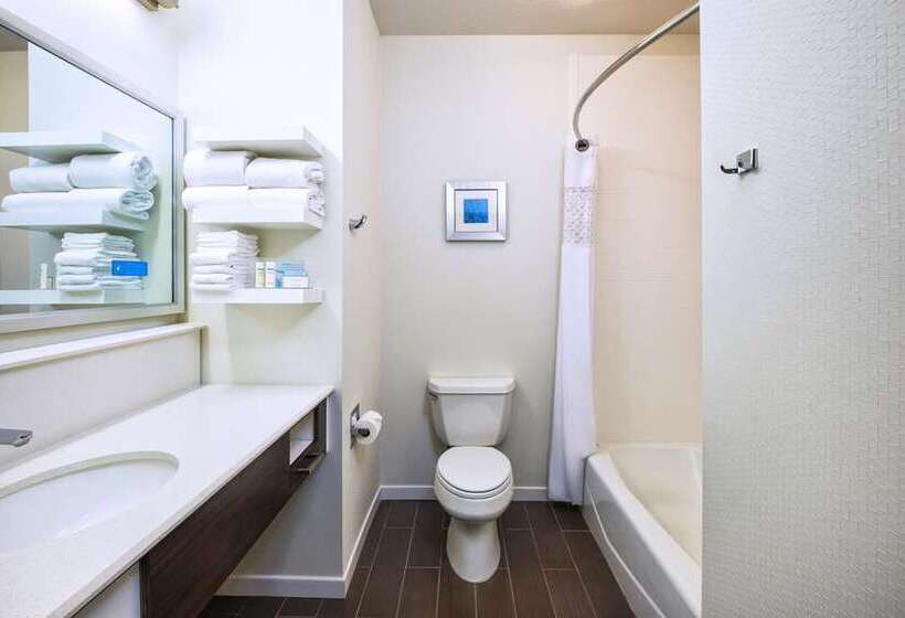 Люкс, Doubletree By Hilton Houston Medical Center Hotel & Suites