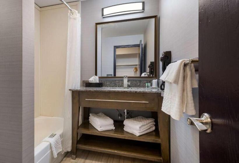 Номер Стандарт 2 Двуспальные Кровати, Best Western Freeport Inn