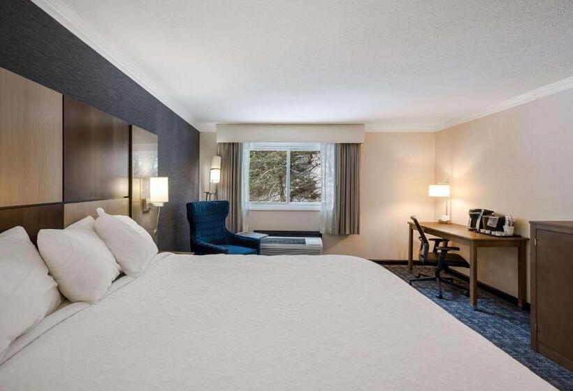 Стандартный Номер Кровать Кинг, Best Western Freeport Inn