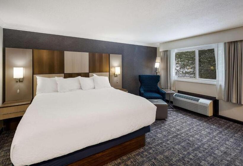 Номер Стандарт Кровать Кинг Адаптированный для Инвалидов, Best Western Freeport Inn