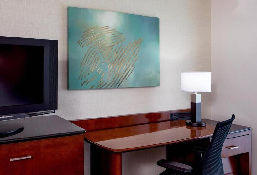 스탠다드 룸 킹사이즈 침대, Delta Hotels By Marriott Chesapeake Norfolk