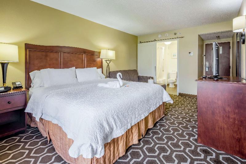 キングサイズベッドのスタンダードルーム, Hampton Inn Tampainternational Airport/westshore