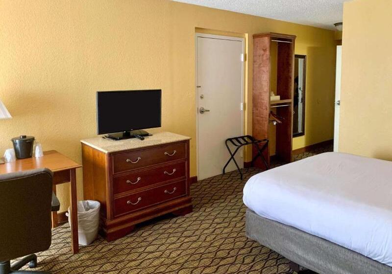 Standardrum King Size Säng, B&b Hotel Miami Airport