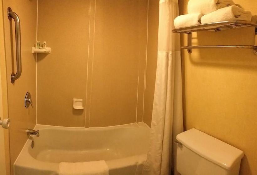 ２ダブルベッドのスタンダードルーム, Quality Inn On Historic Route 66