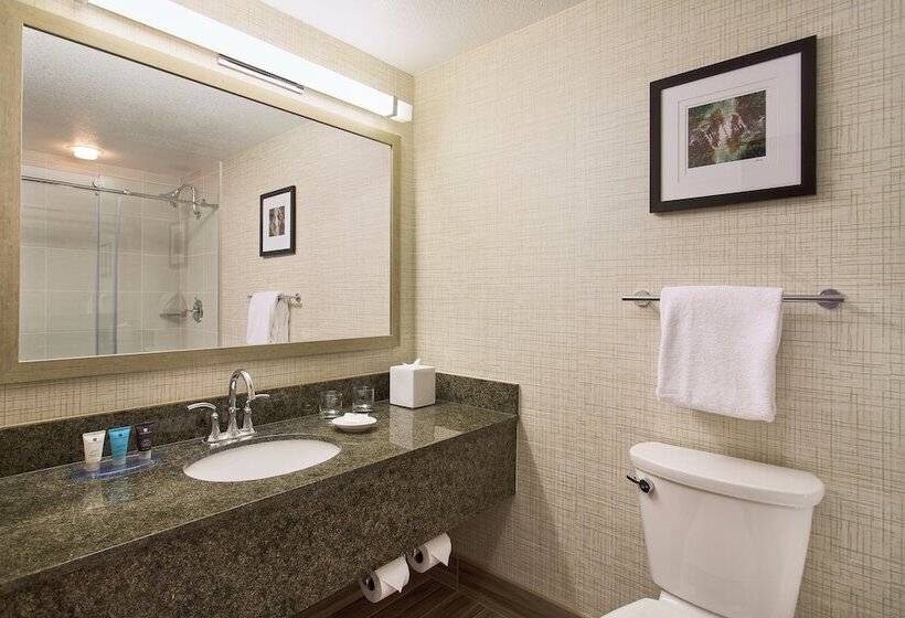 스탠다드 룸 더블 침대 2개, AC Hotel by Marriott Portland Lake Oswego