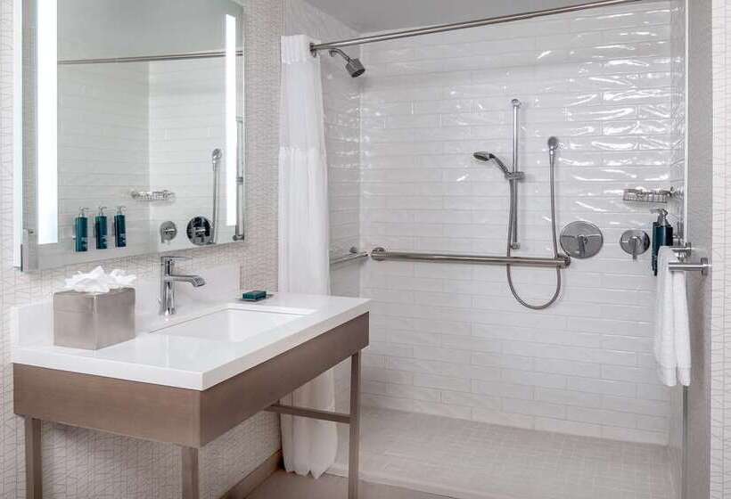 キングサイズベッドのスタンダードルーム, Doubletree By Hilton Washington Dc Silver Spring