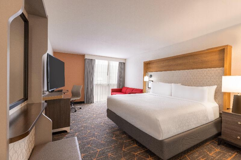 适合残疾人士使用的带超级大床的标准间, Doubletree By Hilton Fort Worth South
